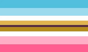 Pronouns Non-conforming